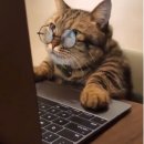 바를정한방병원 이미지