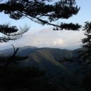 여주-1103 이미지