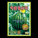 그린종묘농약사 이미지