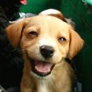 웃으면서 이미지