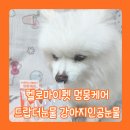 펫케어연구소 | '헬로마이펫 멍뭉케어 드랍더눈물' 백내장 진행중인 노령견도 믿고쓰는 강아지눈세정제! 다이소추천템!