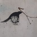 화지로 이미지