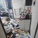 월드컵로 | 수원 영통구 월드컵로 쓰레기집 특수청소 후기 고양이털 배변 오염 제거