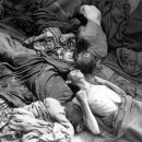 프리모 레비+ <이것이 인간인가> 이미지