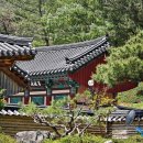 2025.05.26 [蒼霞哀歌] 유리천장을 뚫다 - 장산서원