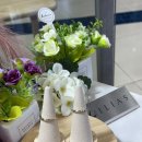 광장24호 | 종로 예물 추천 효성주얼리시티 일리아스 방문 솔직 후기