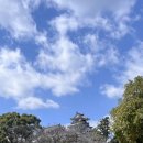 초보자를 위한 여행 스페인어 이미지