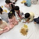 용인대푸른태권도 | 예닮태권도 용인대예닮태권도 고림동태권도 고림동태권도학원 고림초태권도 예담태권도 꿈에월드...