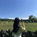 좋은날목장 이미지
