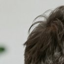 성모맑은숨이비인후과의원 이미지