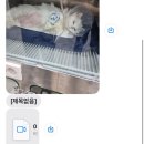 마린파크 동물병원 이미지