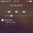 다다돈 이미지