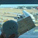 해날아파트 | 251114 SUPER JUNIOR 20th Anniversary TOUR <SUPER SHOW 10> in Taipei DAY 1 후기