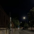 [Firenze, 🇮🇹] 낭만의 도시는 파리와 피렌체로
