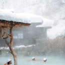 백두산여행사