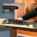 안경진정성 헤이리마을점 | 파주 아이랑 가볼만한곳 사파리체험테마파크 주차 실내동물원