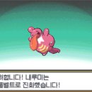 전국도감완성