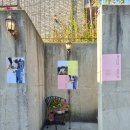 포어클락필름 | 34. 아름다움이 가득한 포어클락 21명 초스몰 야외 본식 후기 (데코레이션~케이터링)