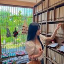 신일세탁소 | 군산 실내 가볼만한곳 월명동 독립서점 북카페 쓰담