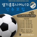 염기훈주니어축구클럽U12 선수모집 이미지