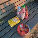 세븐일레븐 서초평화점 | 서울 밤산책 반포한강공원 | 달빛무지개분수 시간