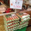 오경(젤란) 이미지
