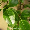 김정수치과의원 이미지