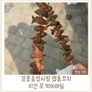 시나미 | 강릉중앙시장 먹거리 추천｜줄서서 먹는 시나미 염통꼬치 후기