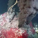 생명의 분출 이미지