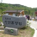 석모도자연휴양림입구 Daum카페