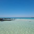 블루하와이호텔 이미지