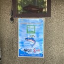 오대산송어횟집 이미지
