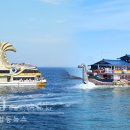 바위영어조합법인 이미지