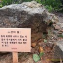 월드조각