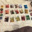 북면160 | [반려견/애견동반숙소] 구공스테이 북면 3동 내돈내산 후기