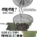 봉봉종합식품 이미지