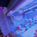 The 뽑기샵 이미지