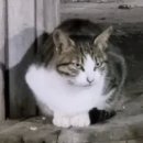 수명 이미지