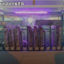 삼씨네겹살이 이미지