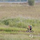 국토종주자전거길1-31 이미지