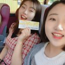 [추억의 군산 여행] 초원사진관, 신흥동일본식가옥, 역사박물관, 해양테마파크