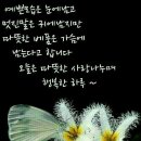 늘고운 이미지