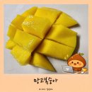 망고이야기 | 망고복숭아 솔직 후기 ｜망고 맛을 기대했다가 천도복숭아를 만난 이야기