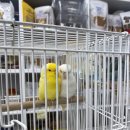 세븐일레븐 수원권선점 네이버블로그