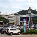 장수양돈 이미지