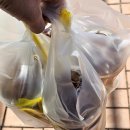 김밥천국 덕산온천점 이미지