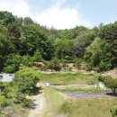 유계리 농장 이미지