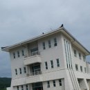 부여(홍산)-10 이미지