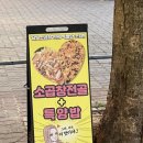 달빛소곱창