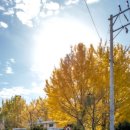 연암공업대학교 입구 이미지